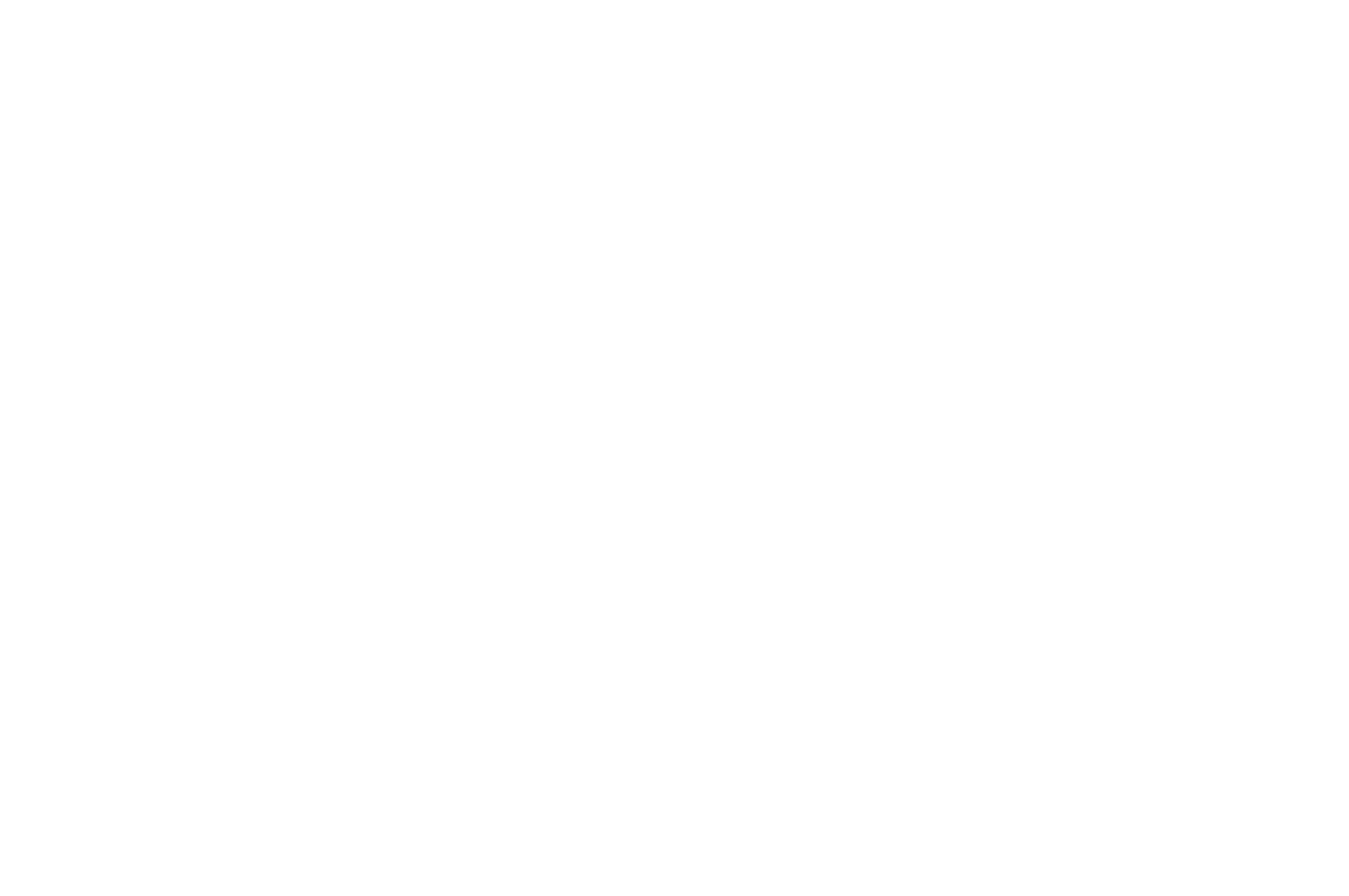 Toronto Diggers